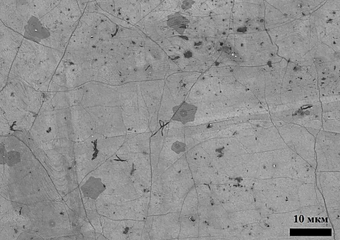 Графен на медной фольге под микроскопом