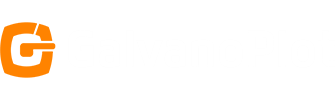 Логотип GalvanoPlot